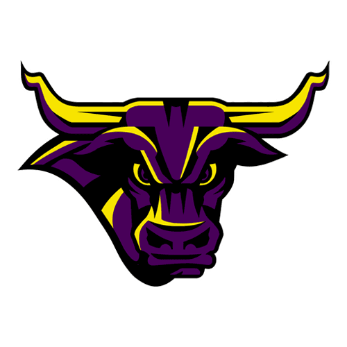 Minnesota State Mavericks logo