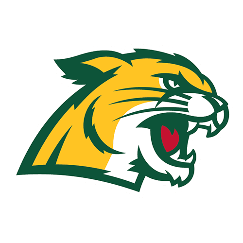 Northern Michigan Wildcats logo